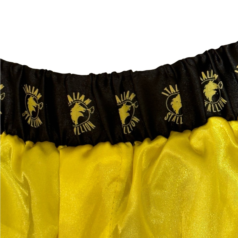 NWOT Vintage Rocky Italian Stallion Logos Gold Boxing Ring Robe and Shor… - Picture 9 of 11